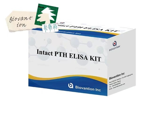 1시간의 검사시간으로 플라즈마 샘플에 대한 무결 PTH 96 측정 ELISA 테스트 키트