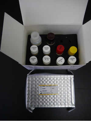 AMH ELISA 테스트 키트 3시간 18개월 유효기간 CE ISO13485