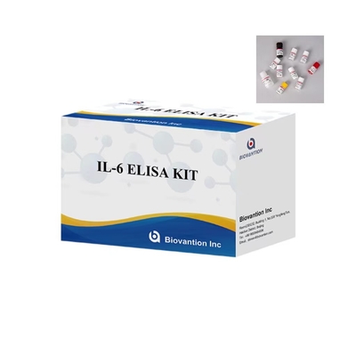 IL 6 ELISA 테스트 키트 1시간 검사 시간 96 테스트 IVD 실험실용 ELISA 키트