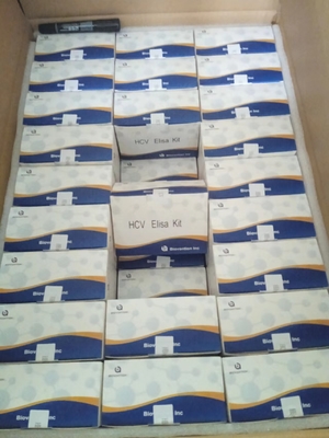 HCV ELISA 테스트 키트 정확한 테스트를 위해 교차 반응성이 없는 덩어리 샘플