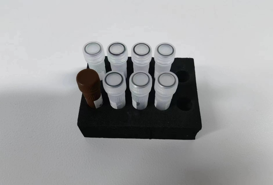 B형 간염 바이러스 HBV 양적 PCR KIT 감수성 표본 유형 96개의 테스트를 가진 테스트 키트