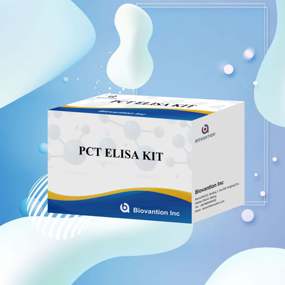 인간 혈청 플라즈마에 대한 인간 탐지 반응기에 대한 PCT를 위한 탐지 키트