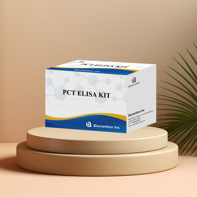 인간 혈청 플라즈마에 대한 인간 탐지 반응기에 대한 PCT를 위한 탐지 키트