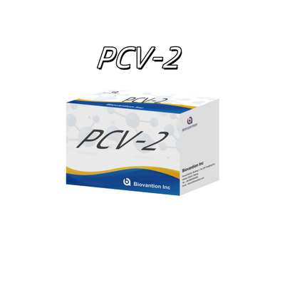 WB/S/P PCV-2 동물 항체 동물용 반응기 ELISA 테스트