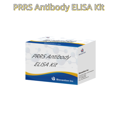 동물의 PRRSV에 대한 ELISA 테스트 돼지 PRRS 항체 항체 수의학적 반응기 ivd