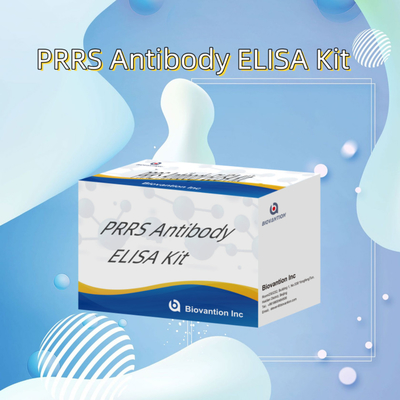 동물의 PRRSV에 대한 ELISA 테스트 돼지 PRRS 항체 항체 수의학적 반응기 ivd