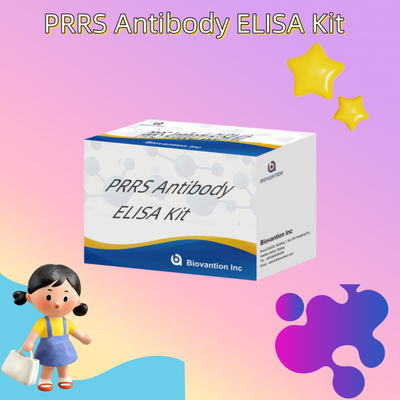 동물의 PRRSV에 대한 ELISA 테스트 돼지 PRRS 항체 항체 수의학적 반응기 ivd
