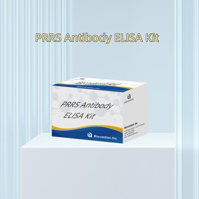 동물의 PRRSV에 대한 ELISA 테스트 돼지 PRRS 항체 항체 수의학적 반응기 ivd