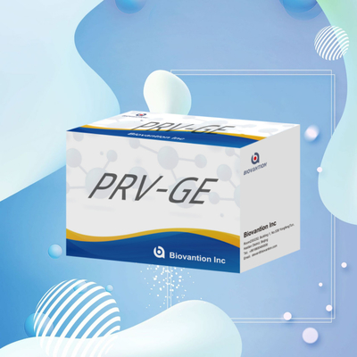 동물 탐지 반응기 PRV-GE 항체 ELISA 키트를 위한 탐지 키트