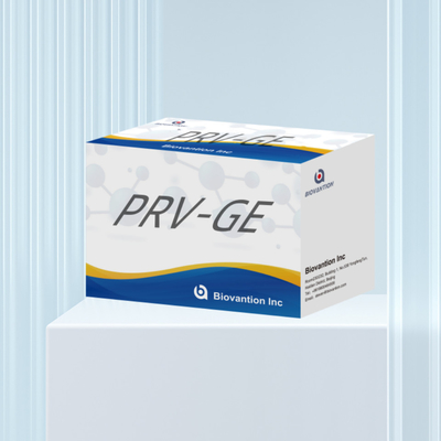 동물 탐지 반응기 PRV-GE 항체 ELISA 키트를 위한 탐지 키트