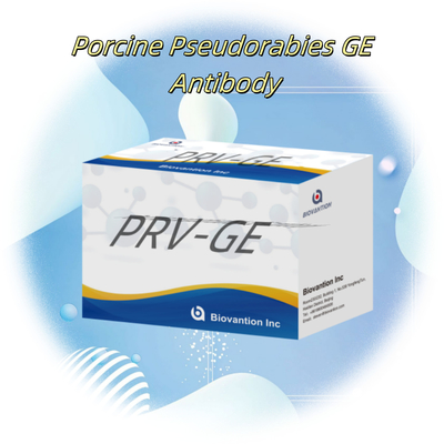 동물 탐지 반응기 PRV-GE 항체 ELISA 키트를 위한 탐지 키트