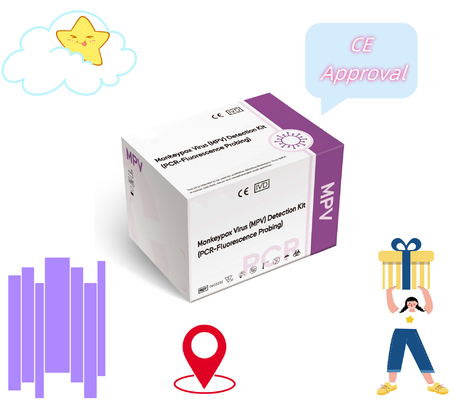 인간 혈청 플라즈마에 대한 원숭이 천연두 바이러스 MPV 검출 키트 검출 반응기