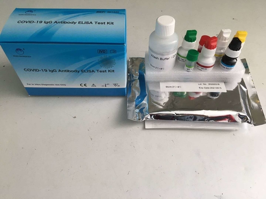코로나19 IgG ELISA 테스트 키트 형식 키트 효소 연결 면역 흡수 검사