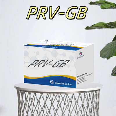 특수성 소혈관 검출 PRV 반응기에 대한 ELISA 면역 검사 키트