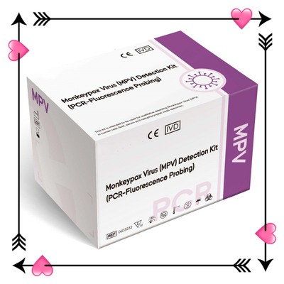 PCR 방법 MPXV 검출을 위한 폴리메라세 연쇄 반응 물질 키트