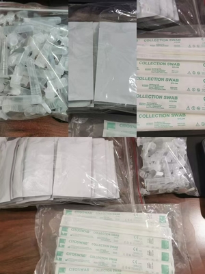 원숭이두병 바이러스 MPXV 항원 복제 검사 전문 인 비트로 진단용