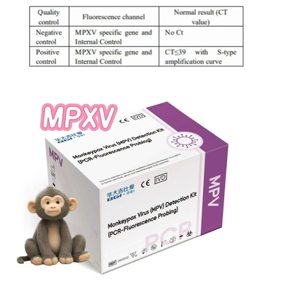 모박스 바이러스 MPXV 탐지 키트 PCR-플루오레센스 탐사