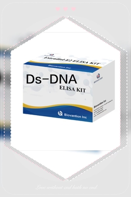 항 Ds-DNA IgG ELISA 테스트 키트 질적 항 이중 나선 DNA 항체