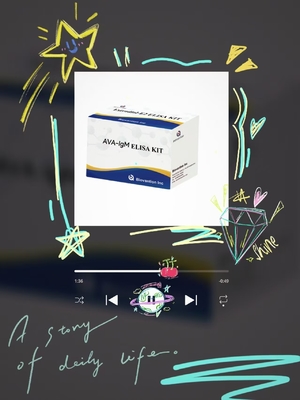 안티 ACA IgM ELISA 테스트 키트 항혈관 리핀 질적