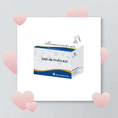 GAD-Ab ELISA 테스트 키트 글루타민산 디카보시라세 항체 면역 흡수