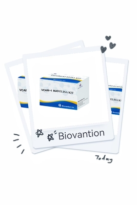 VCAM-1 RUO Elisa Kit 인체 혈관 내막 세포 접착 분자 1