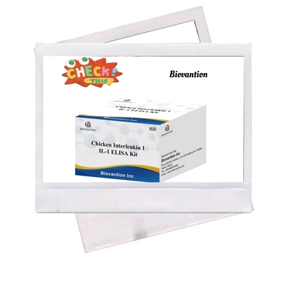 IL 1 ELISA 테스트 키트 인테르루킨-1 인간 혈청 및 플라스마 면역 검사