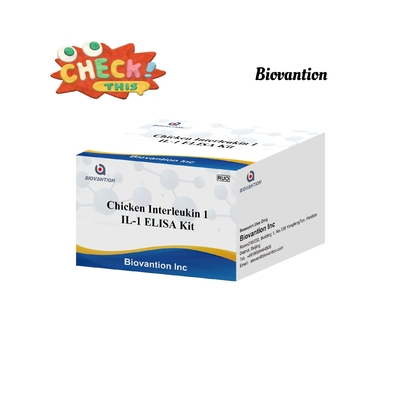 IL 1 ELISA 테스트 키트 인테르루킨-1 인간 혈청 및 플라스마 면역 검사