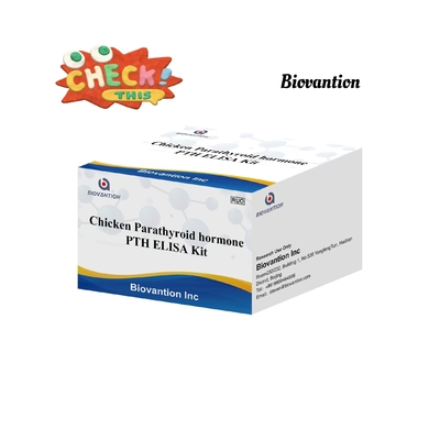 PTH ELISA 테스트 키트 치킨 효소 결합 면역 흡수 부신 갑상선 호르몬 혈청