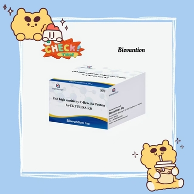 Hs-CRP IVD Elisa 테스트 고민성 C 반응성 단백질 생체 반응