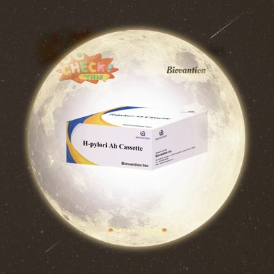 H. Pylori Ab 급속 검사 카세트 혈청 면역 염색체 검출