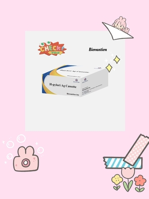 H. Pylori Ag 급검사 카세트 인 비트로 진단 반응기 (IVD 반응기)