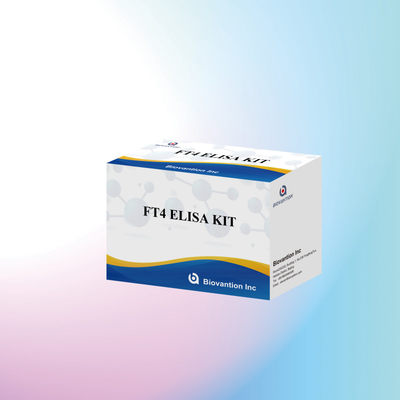 TOXO IgM IgG igg igm elisa human use 진단 반응기 테스트 키트 96 키트