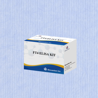 TOXO IgM IgG igg igm elisa human use 진단 반응기 테스트 키트 96 키트