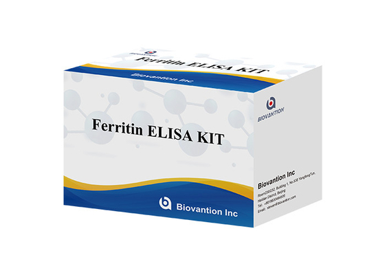 실험실 또는 병원 고밀도의 인간 페리틴 FE ELISA 테스트 키트