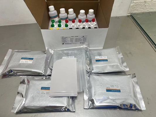 새로운 출입 IVD 반응기 HCV 진단 반응기 시험 인간 병원 클리닉 실험실