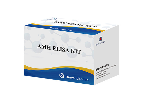 항뮬러 호르몬 AMH Elisa 테스트 키트