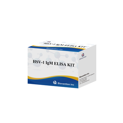 HSV-1 IgM 의학적 진단 18개월 유효기간 Elisa 테스트 키트 원산