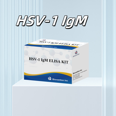 HSV-1 IgM 의학적 진단 18개월 유효기간 Elisa 테스트 키트 원산