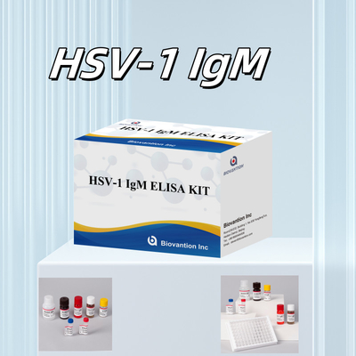 HSV-1 IgM 의학적 진단 18개월 유효기간 Elisa 테스트 키트 원산