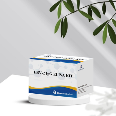 국제적으로 적용되는 HSV-2 IgG 진단 반응기 96 검사 의료 진단용 ELISA 검사 키트