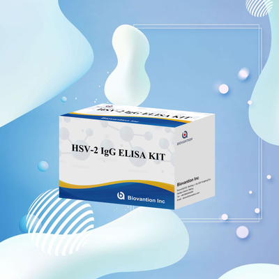 국제적으로 적용되는 HSV-2 IgG 진단 반응기 96 검사 의료 진단용 ELISA 검사 키트