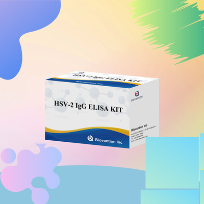 국제적으로 적용되는 HSV-2 IgG 진단 반응기 96 검사 의료 진단용 ELISA 검사 키트