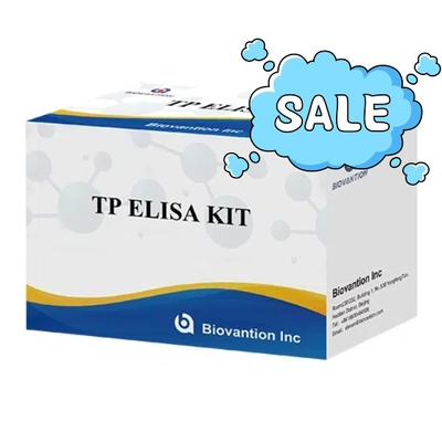 TP (트레포네마 팔리덤) Ab ELISA 테스트 키트