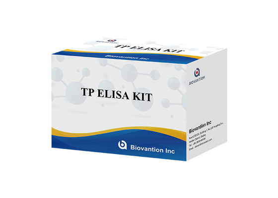 TP (트레포네마 팔리덤) Ab ELISA 테스트 키트