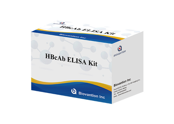 HBcAb ELISA 테스트 키트 검사 항체 검출 키트 질적