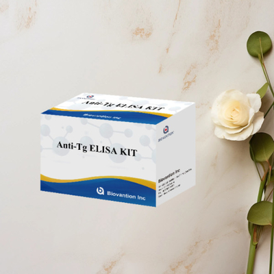 항 Tg ELISA 테스트 키트 티로글로불린 Ab in vitro 정량 결정