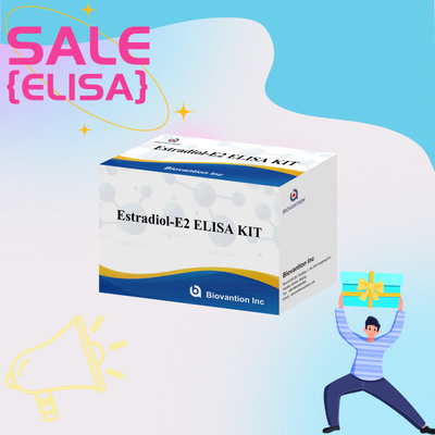 공장 가격 E2 ELISA 테스트 키트 생체 검출 의료 검출 고정도
