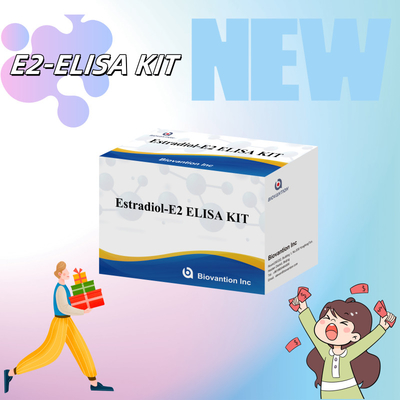 공장 가격 E2 ELISA 테스트 키트 생체 검출 의료 검출 고정도