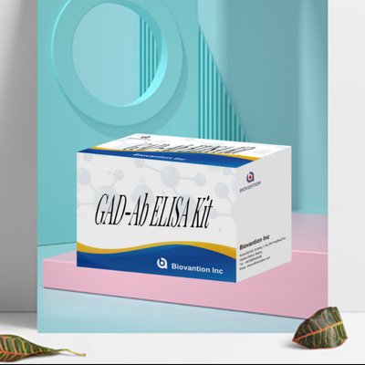 ELISA 테스트 GAD 글루타민산 데카보시라제 항체 96 테스트를 가진 인간용 의료 진단 반응기