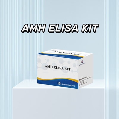 다양한 샘플에서 특정 분석물질 검출 및 정량화를 위한 AMH Elisa 테스트 키트